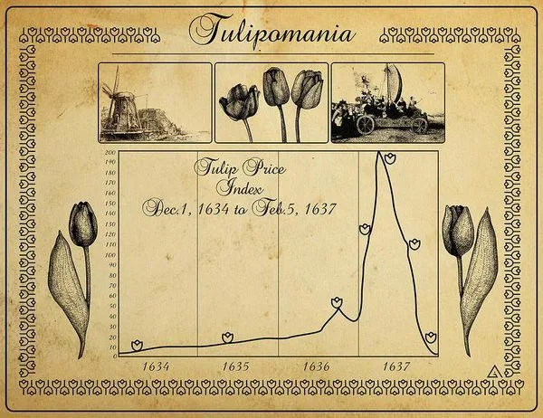 Tulip Mania is Back… But the Bubble is Bursting