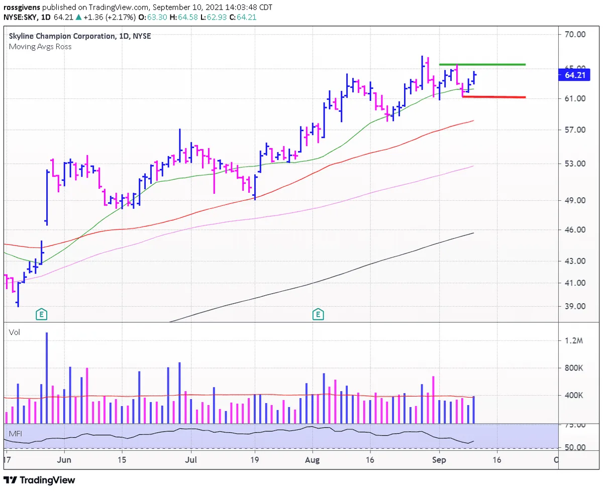 These Stocks Are Bucking the Bearishness