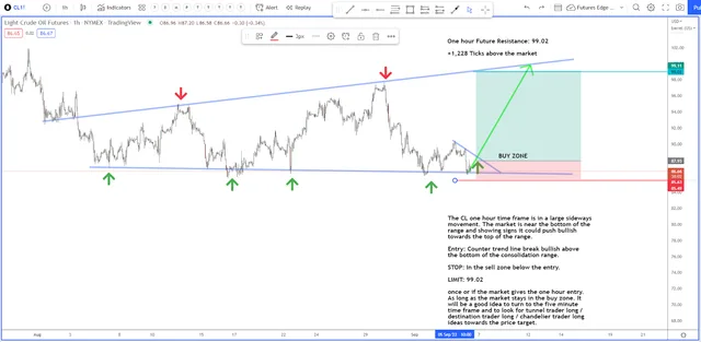 Let’s Take a Look at Crude Oil