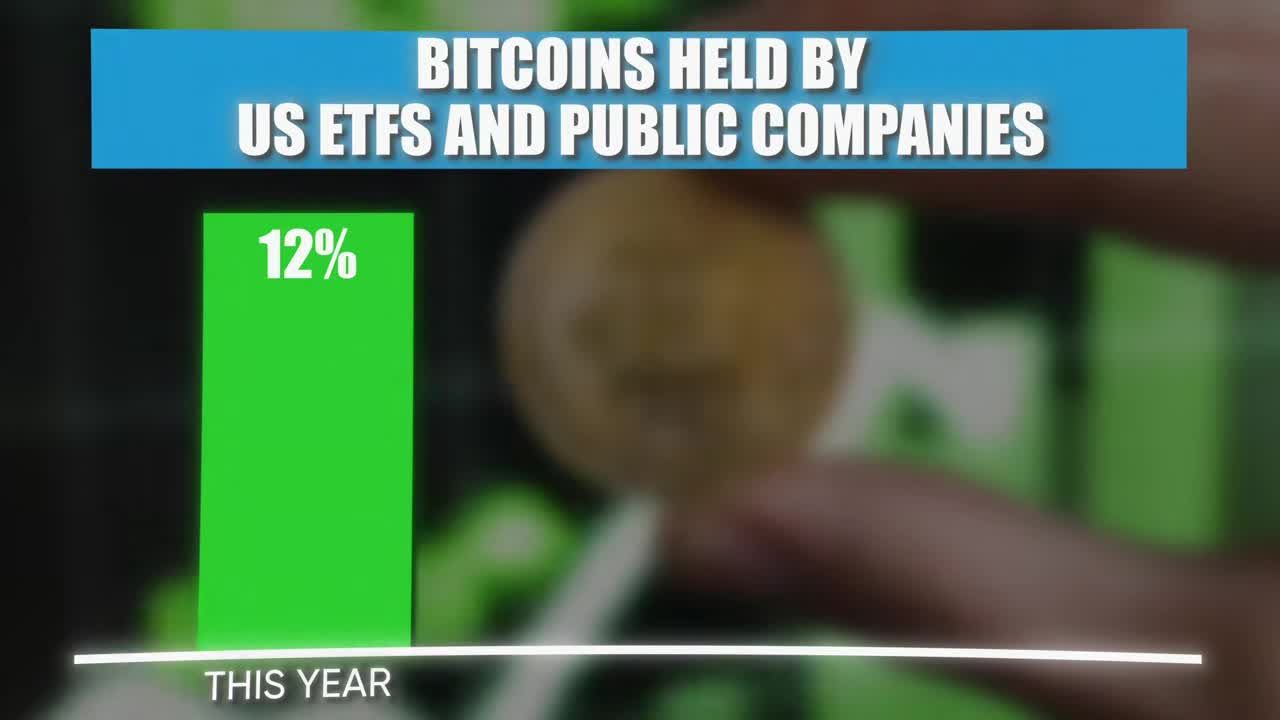 Bar chart showing Bitcoins held by US ETFs and public companies at 12% this year