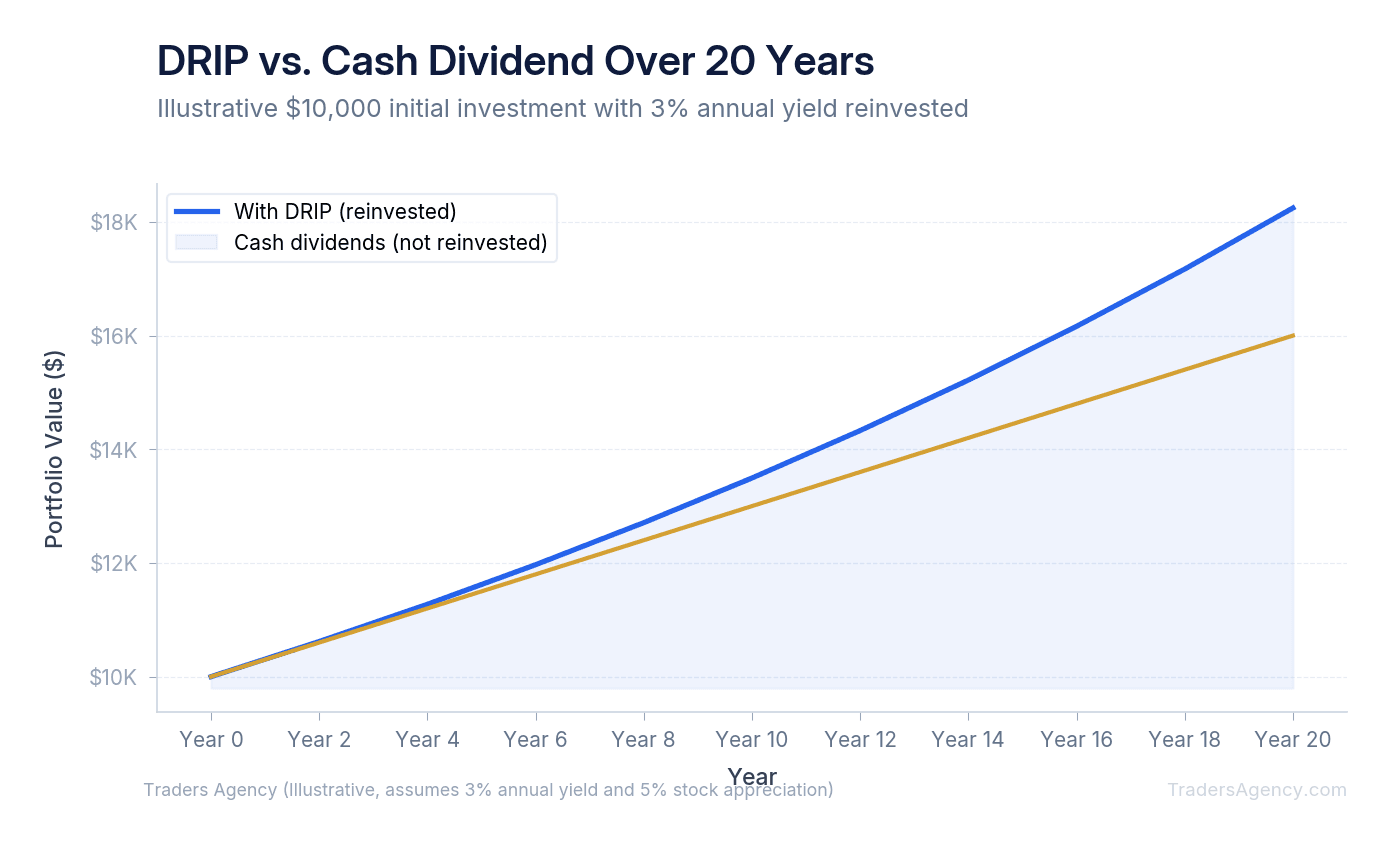 Multi-line chart showing portfolio value growth with and without dividend reinvestment over 20 years