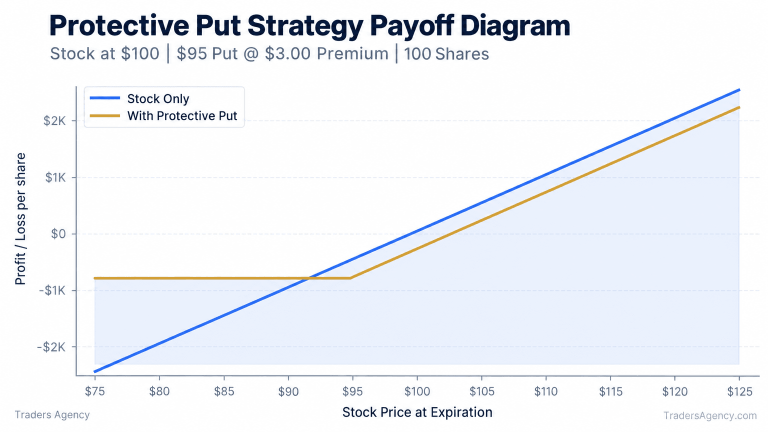 Multi-line chart showing a protective put limiting losses below a $95 strike while retaining upside above a $100 stock cost