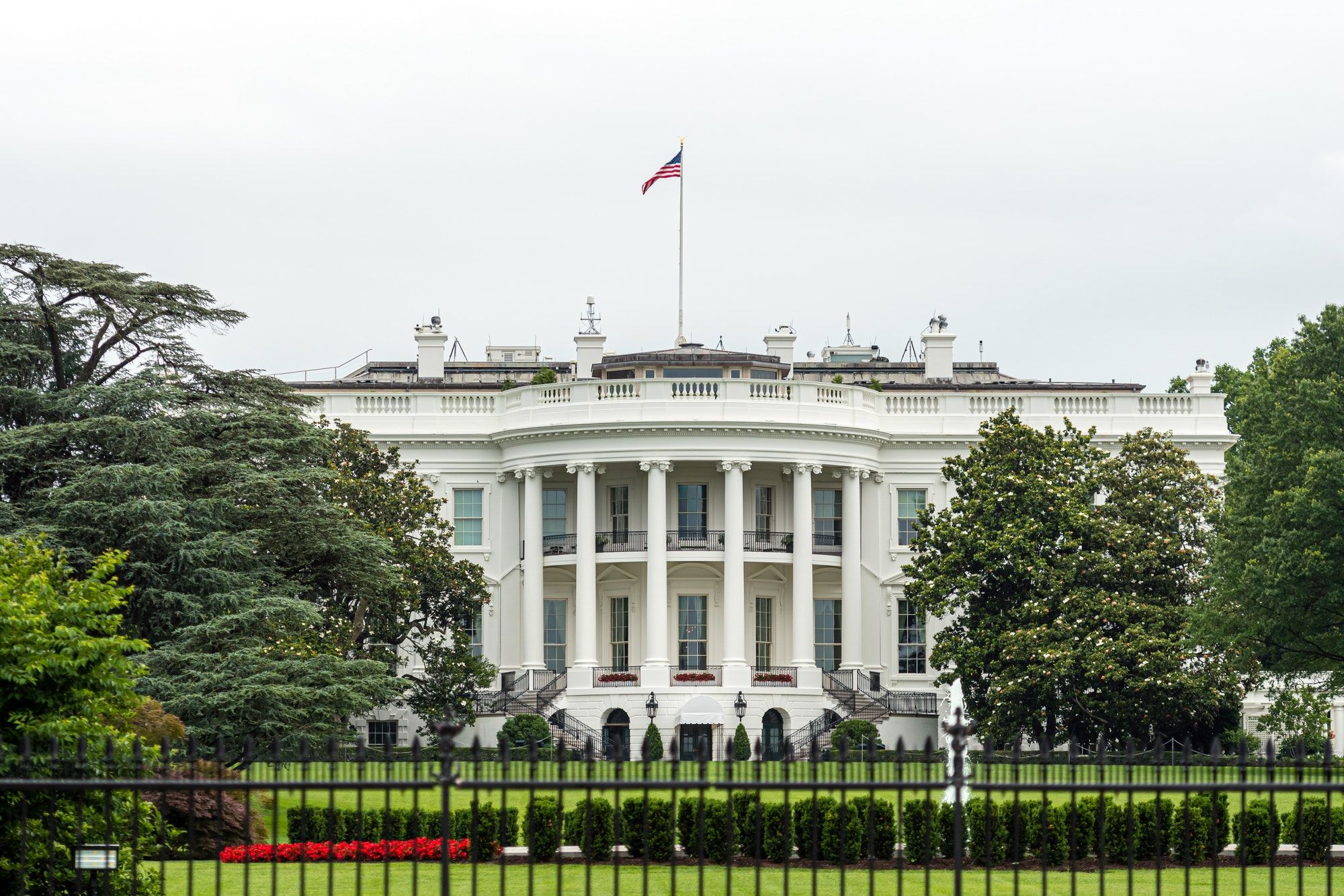 The Elections, Pandemic, and the President. How Will the Nasdaq React?