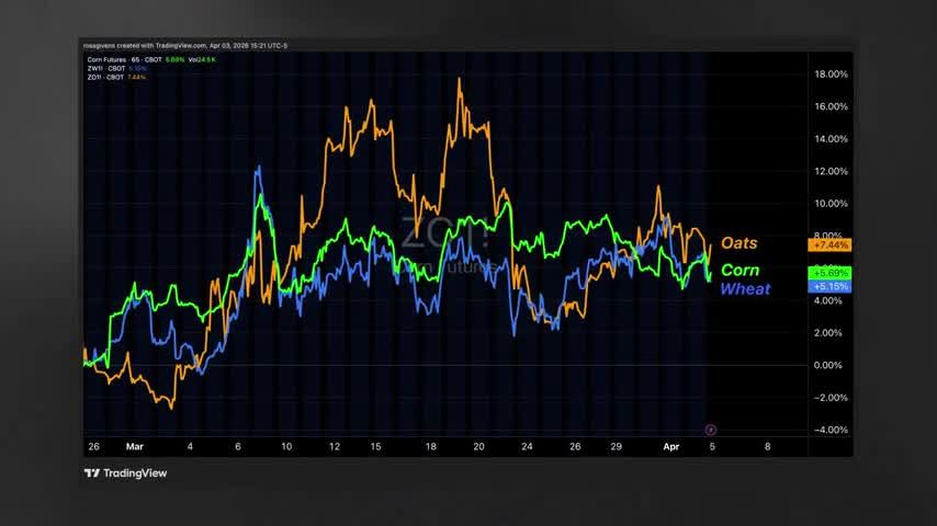 TradingView line chart comparing Oats, Corn, and Wheat futures from late February through early April, showing Oats up 7.44%, Corn up 5.69%, and Wheat up 5.15%