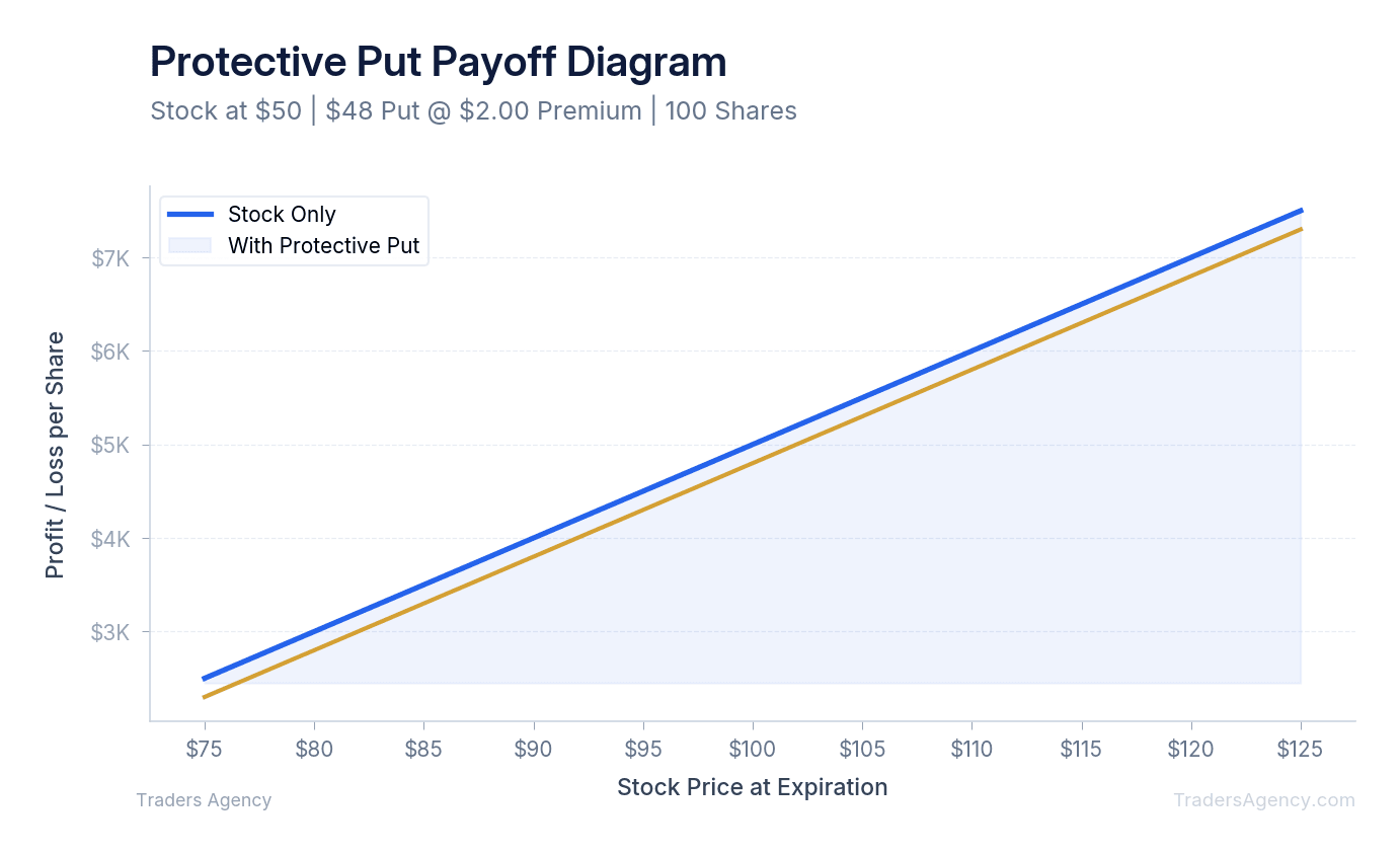 Multi-line chart comparing unhedged stock position to stock protected by a put option across price levels