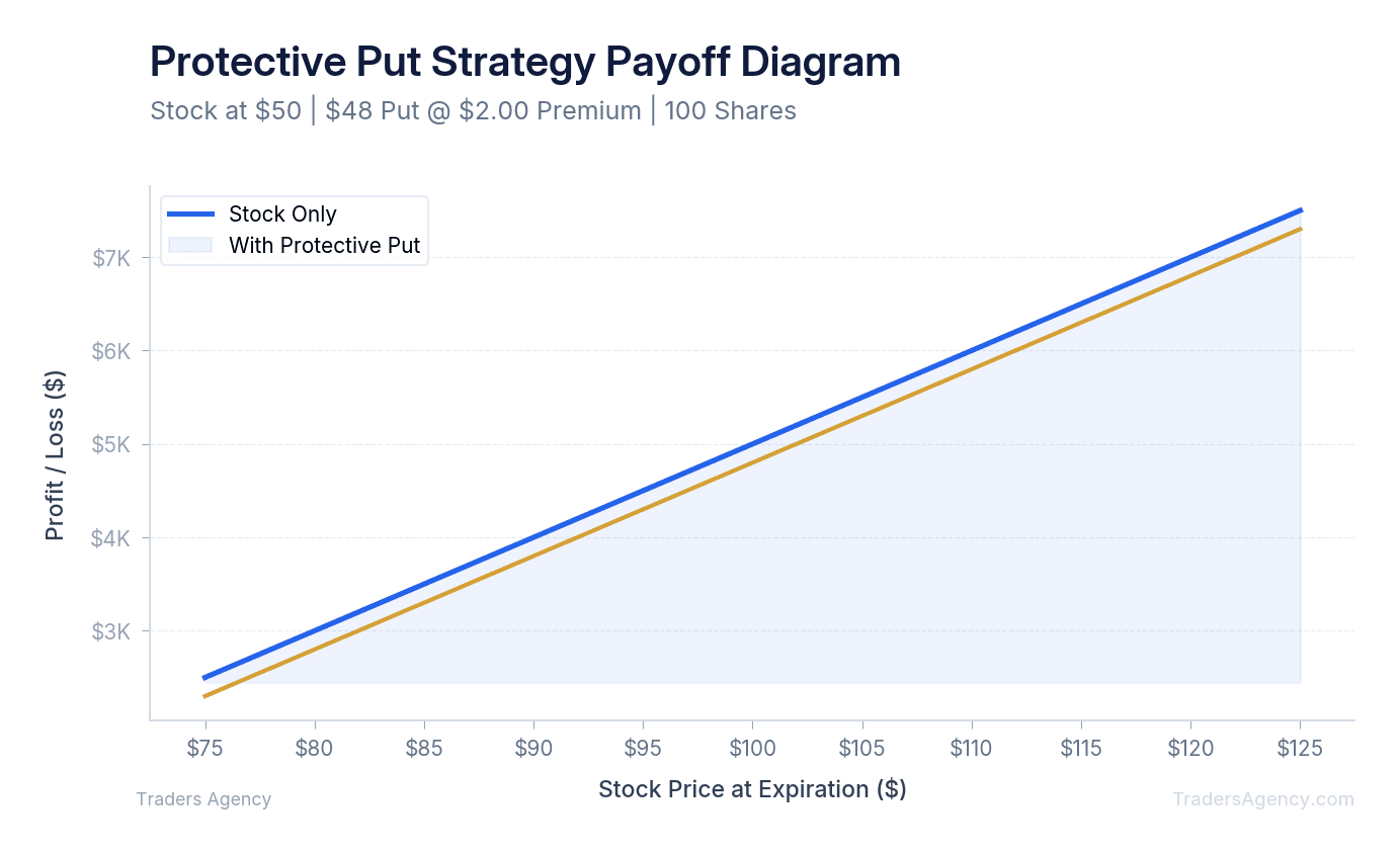 Multi-line chart comparing profit/loss of owning stock alone versus owning stock with a protective put at expiration