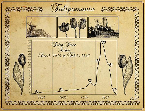 Tulip Mania is Back… But the Bubble is Bursting