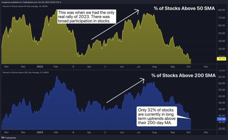 Bounce or Bull? - Traders Agency